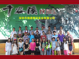 ���̩��ף�I(y��)��(n��i)������ʿ�R���ɹ����R�����X,��(li��n)�W(w��ng)����W(w��ng)